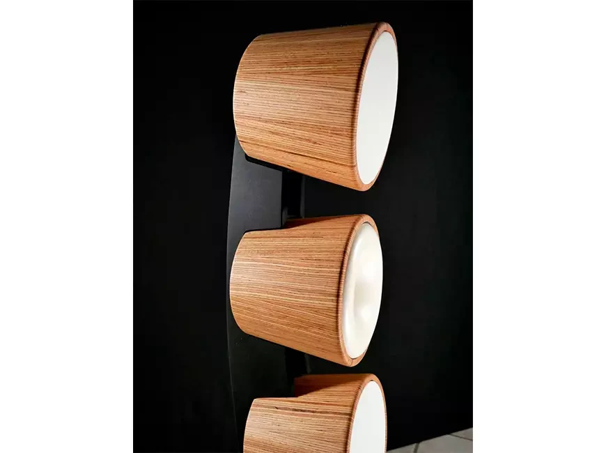   LiveHorn Orion Speaker Systems
