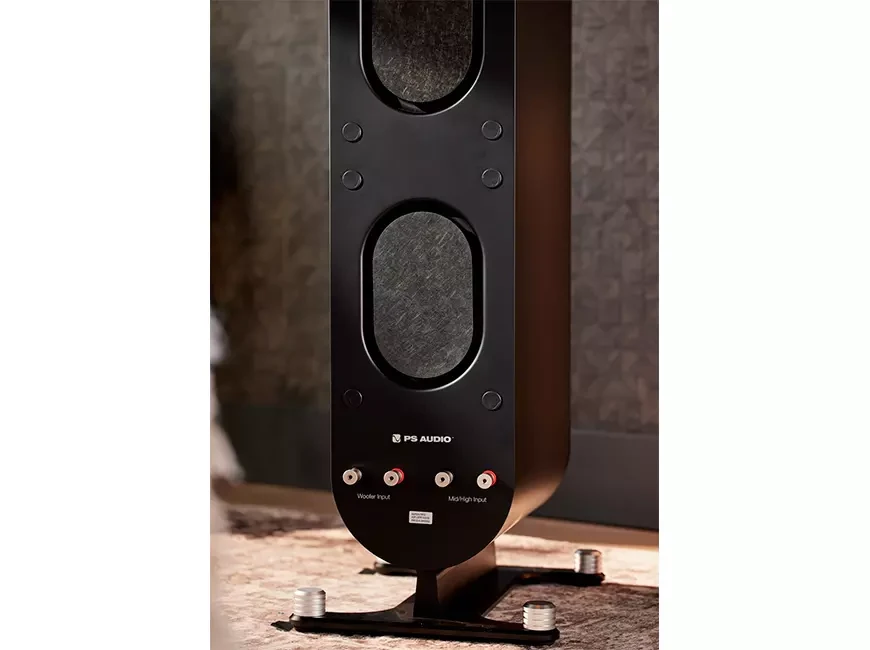   Speaker systems PS Audio Aspen FR10