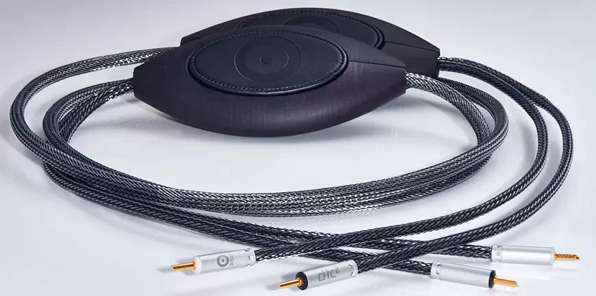 2. Speaker cable Ansuz Acoustics Speakz D-TC2