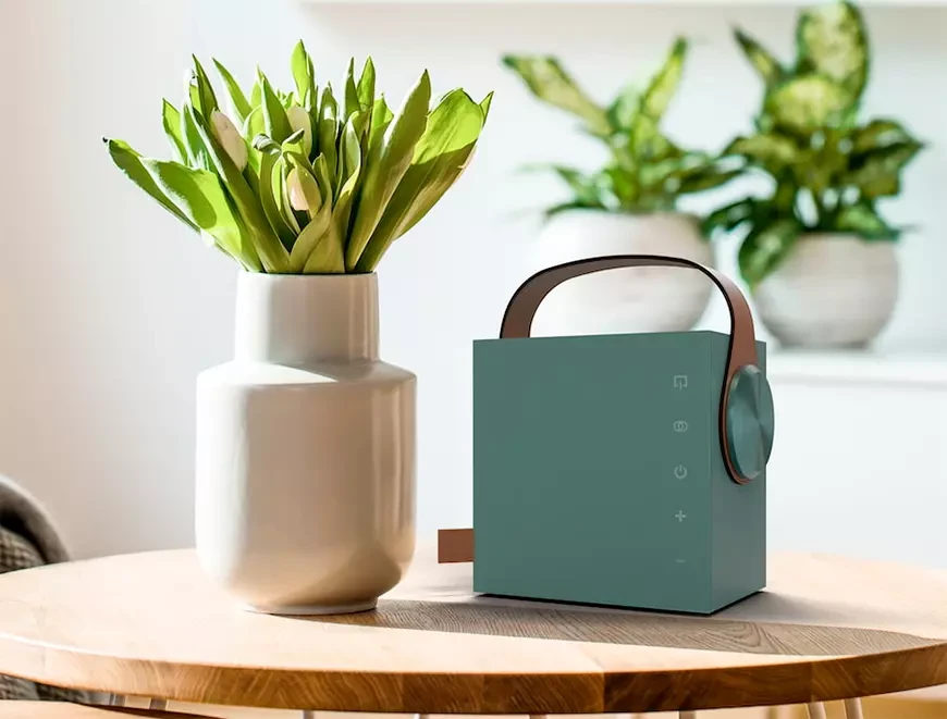 Morel Biggie Wireless Audio System