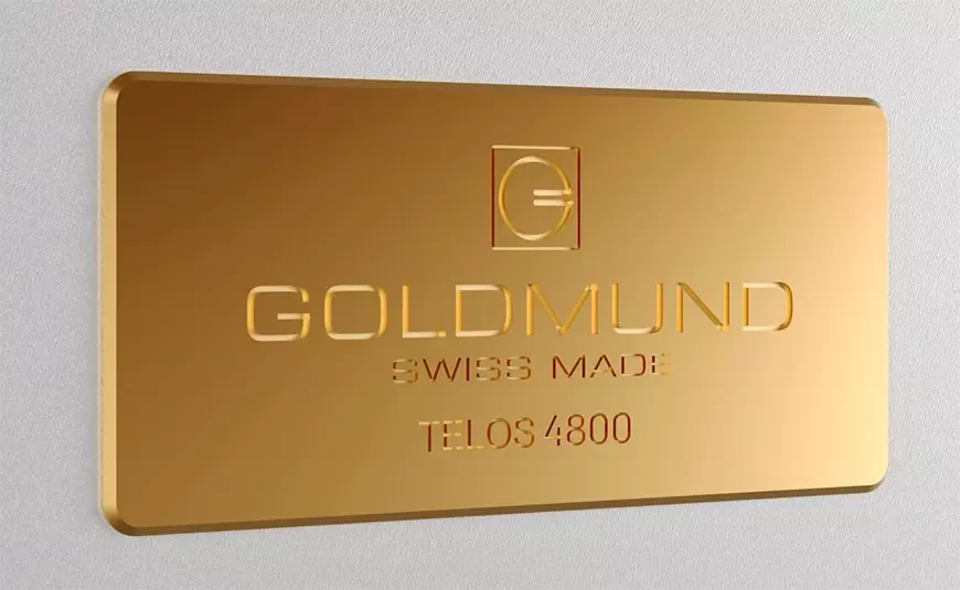 Goldmund Telos 4800 Mono Power Amplifier
